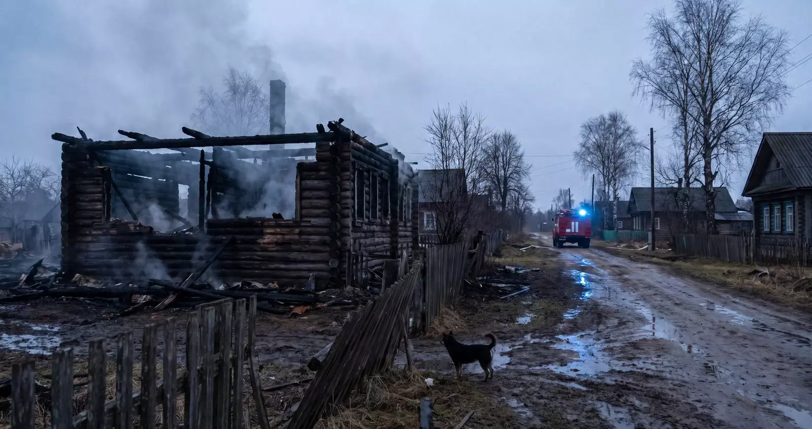 Ребёнок погиб на пожаре в Свердловской области, спасая бабушку и собаку