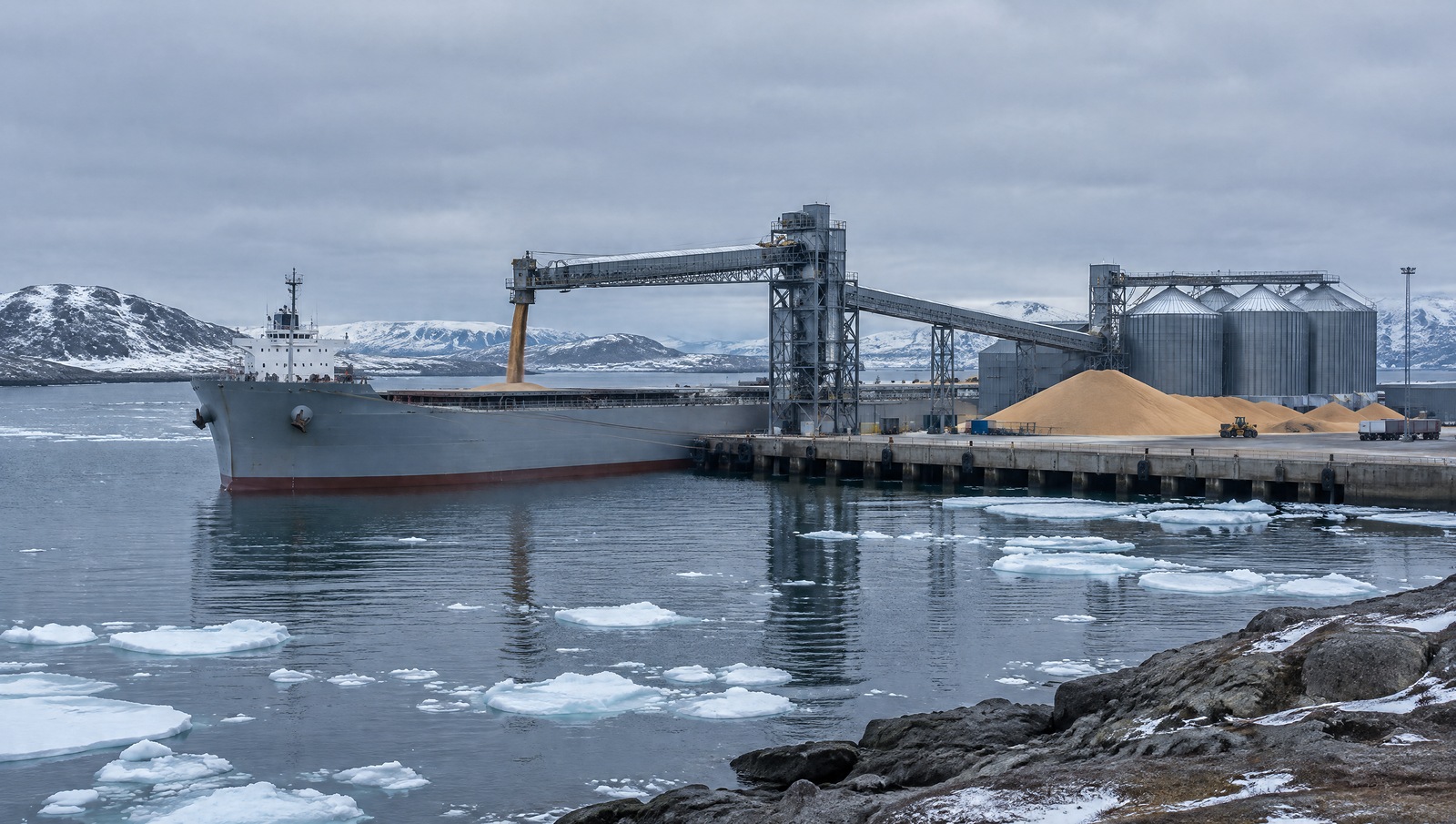 Севморпуть могут использовать для вывоза российского зерна вместо Чёрного моря